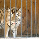 ���� ��������, �������������, 42 ���� - ��������� 9 ������ 2015