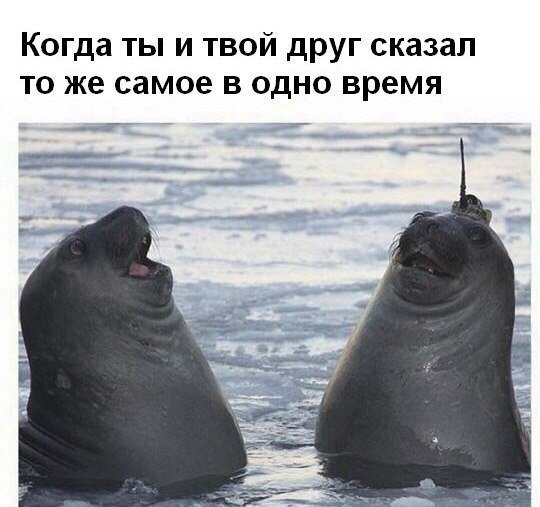    :-) - 30  2015  11:20