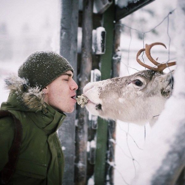 10 снимков фотографа, с которым дружат животные.Конста Пункка (Konsta Punkka) — 21-летний паренек из ... - 6