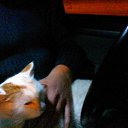 ���� �������, ������ - ��������� 3 ������ 2015 � ������ ���� ����������