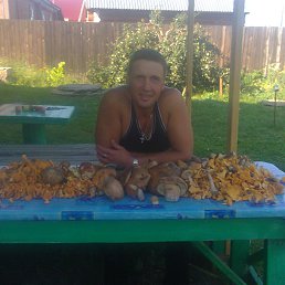 ������, ������, 53 ����