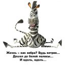  ,  -  5  2015    