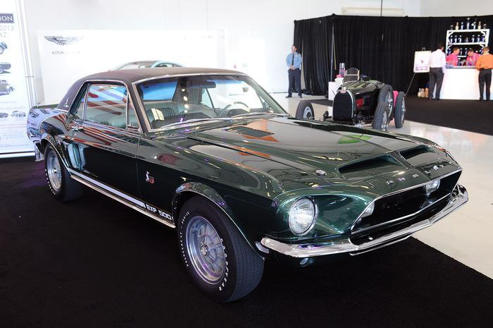 Shelby Mustang     - 4