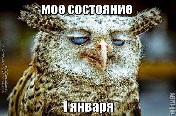  -   - 1  2015  11:46