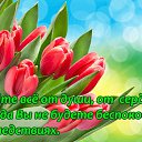  ,  -  7  2015    