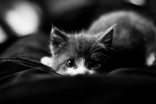 Принимайте все, когда оно приходит к вам, наслаждайтесь всем, пока оно длится, отпускайте все, когда ...