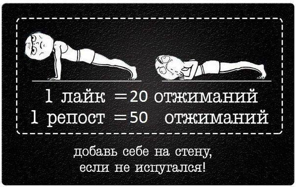 IQ Blog: , , ,  - 28  2015  08:04