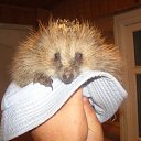  ,  -  25  2015   ...