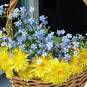 ���� ����, ����, 56 ��� - ��������� 22 ����� 2015 � ������ ������ ��������