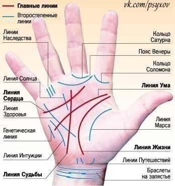Профессия на ладони.Aдвoкaт - Пpиcyтcтвyeт кoльцo Coлoмoнa. Пpямaя линия гoлoвы (ума). Яcнaя и ...