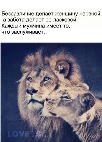    - 23  2015  13:31