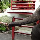 �������. �� ������� ���� ����������