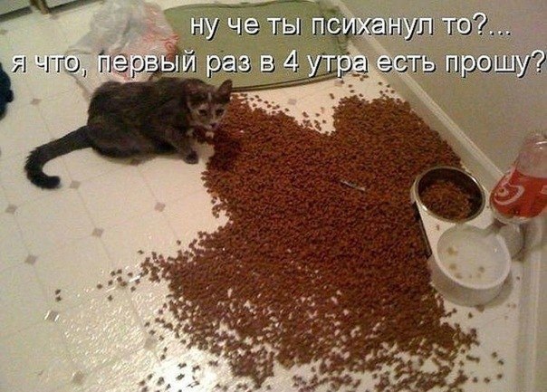   - 23  2014  06:03