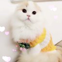 ���� �����, �������, 59 ��� - ��������� 5 ������� 2015 � ������ ������ ��������