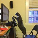 ���� ����, ������ - ��������� 23 ������ 2015 � ������ ���� ����������