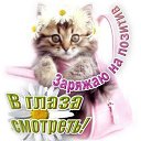 ���� Kolya, ����, 52 ���� - ��������� 15 ������� 2015 � ������ ������ ��������