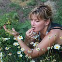 ���� �����, ���������� - ��������� 14 ������ 2015 � ������ ���� ����������