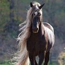 ���� ��������, ��������, 73 ���� - ��������� 28 ������� 2015 � ������ ������������ �������