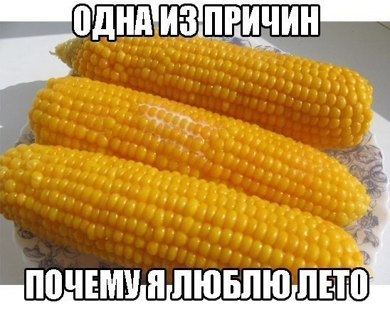  - 17  2015  11:58