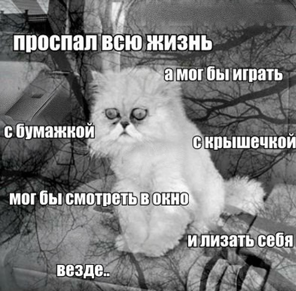    :D - 17  2015  10:15 - 5