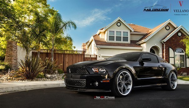 Ford Mustang GT500 - 2