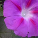 ���� �������, �����������, 57 ��� - ��������� 21 ������� 2014 � ������ �������