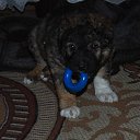 ���� ���������, �������, 62 ���� - ��������� 18 ������ 2015