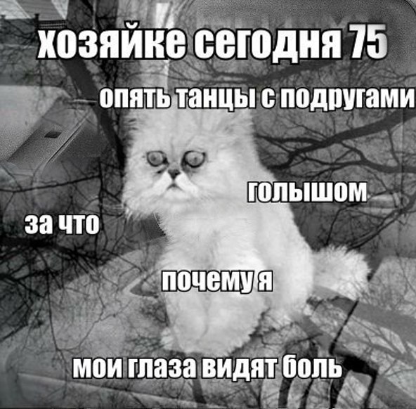    :D - 17  2015  10:15 - 2