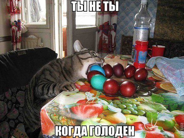 ����� ����,��������� - 17 ������ 2015 � 08:50
