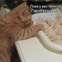 ���� �����, ������ - ��������� 12 ������ 2015 � ������ ������ ��������