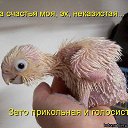���� �����, ����������, 56 ��� - ��������� 4 ����� 2015 � ������ ������ ��������