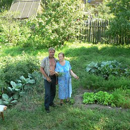 ���� Nikolay, ������ �������� - ��������� 20 ������ 2015