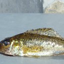 ���� ����, �����-���������, 30 ��� - ��������� 2 ����� 2015 � ������ ������� ''�������''�