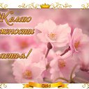 ���� �����, ������ - ��������� 12 ������� 2015 � ������ �������� ��������