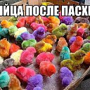 ���� ��, ���������� - ��������� 13 ������ 2015 � ������ ���� ����������