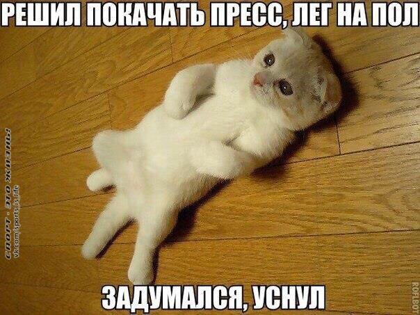  -   - 26  2015  15:52