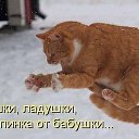 ���� ���������, �������, 62 ���� - ��������� 7 ������ 2015 � ������ ������ ��������