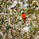 ���� Maria, ������, 70 ��� - ��������� 23 ������� 2015 � ������ ������ ��������