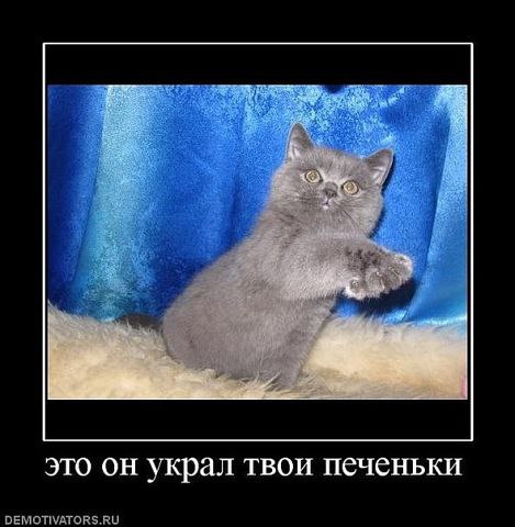    - 23  2014  16:37