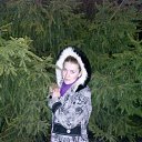 ���� ���, ��������, 31 ��� - ��������� 3 ������ 2015 � ������ ��������