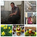 ���� ����, ���������, 65 ��� - ��������� 12 ������ 2015 � ������ ���� ����������