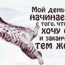 ���� �������, ������, 44 ���� - ��������� 15 ������� 2014 � ������ ���� ����������