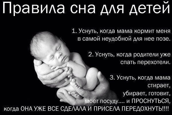 Счастливая семья - 14 февраля 2015 в 17:03