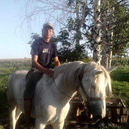 ���������, �������, 31 ���