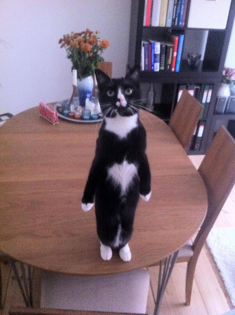 , !  , !