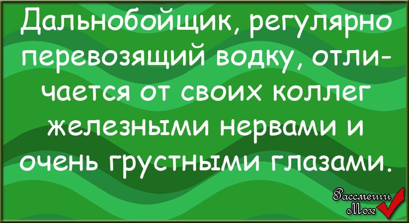 Анекдот про дальнобойщика и жену на кухне