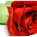 ���� �������, ����, 47 ��� - ��������� 10 ������� 2015 � ������ �������� ��������