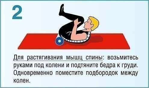 Правильная осанка — это не только красиво. От состояния позвоночника зависит здоровье и физическая ... - 2