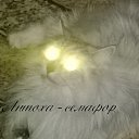 ���� ������, �����������, 56 ��� - ��������� 11 ������ 2015 � ������ ���� ����������