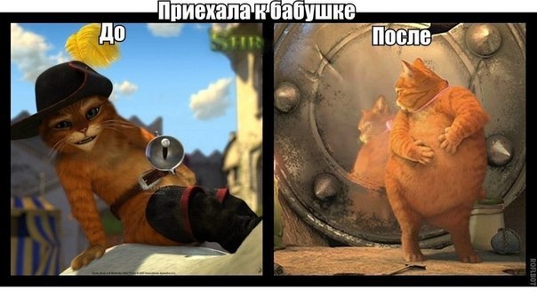       - 28  2014  11:01